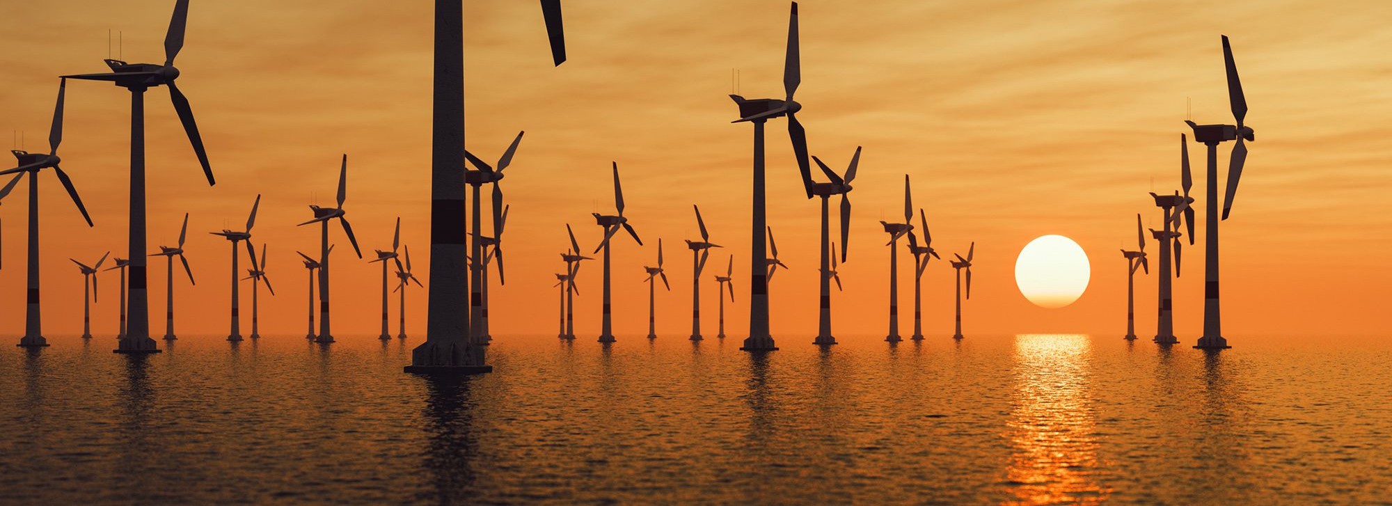 Global Clean Molecule Network